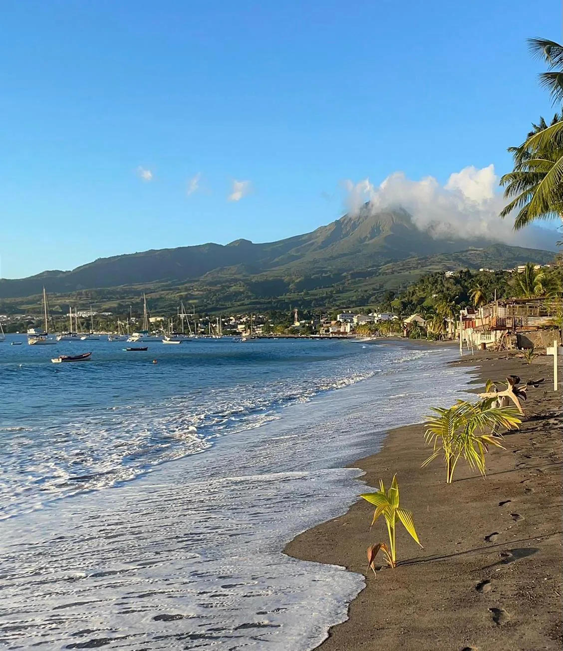 La baie de Saint-Pierre sous la Montagne Pelée